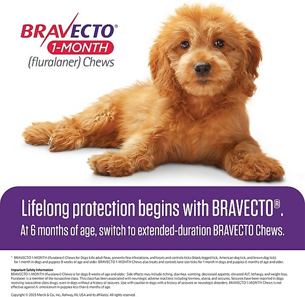 Bravecto 1-Month Chews for Dogs, 22-44 lbs, (Green Box)