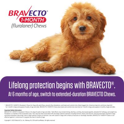 Show full view: Bravecto 1-Month Chew for Dogs, 22-44 lbs, (Green Box), 1 Chew (1-mo. supply) slide 6 of 7