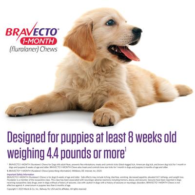 Show full view: Bravecto 1-Month Chew for Dogs, 44-88 lbs, (Blue Box), 1 Chew (1-mo. supply) slide 5 of 7