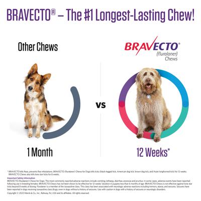 Bravecto Chew for Dogs, 22-44 lbs, (Green Box)