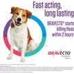 Show in main carousel: Bravecto Chew for Dogs, 44-88 lbs, (Blue Box), 1 Chew (12-wks. supply) slide 7 of 10