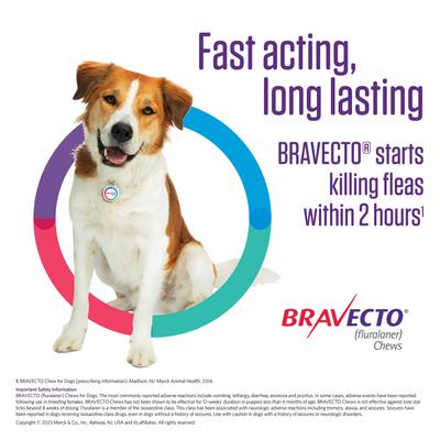 Show full view: Bravecto Chew for Dogs, 88-123 lbs, (Pink Box), 1 Chew (12-wks. supply) slide 7 of 10