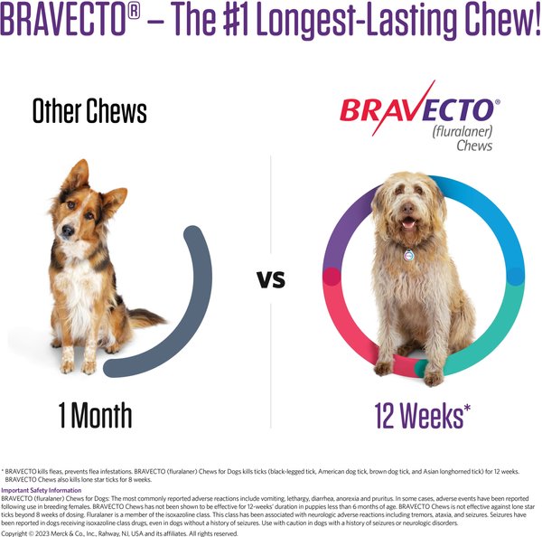 Bravecto Chew for Dogs, 88-123 lbs, (Pink Box)