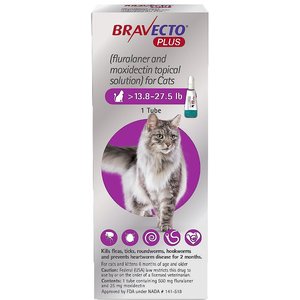 Bravecto Plus Topical Solution for Cats, >13.8-27.5 lbs, (Purple Box), 1 Dose (2-mos. supply)