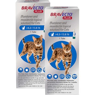 Bravecto Plus Topical Solution for Cats, >6.2-13.8 lbs, (Blue Box), 2 Dose (4-mos. supply) slide 1 of 7