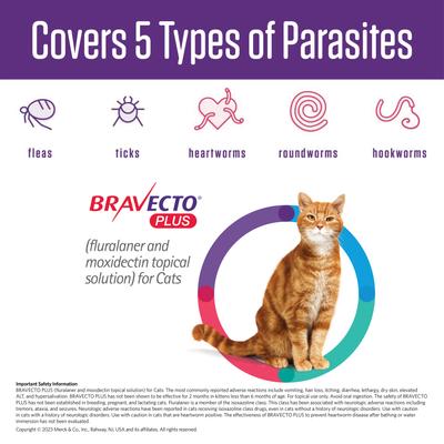 Show full view: Bravecto Plus Topical Solution for Cats, >6.2-13.8 lbs, (Blue Box), 2 Dose (4-mos. supply) slide 6 of 9