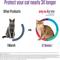 Show in main carousel: Bravecto Topical Solution for Cats, 13.8-27.5 lbs, (Purple Box), 2 Doses (24-wks. supply) slide 5 of 8