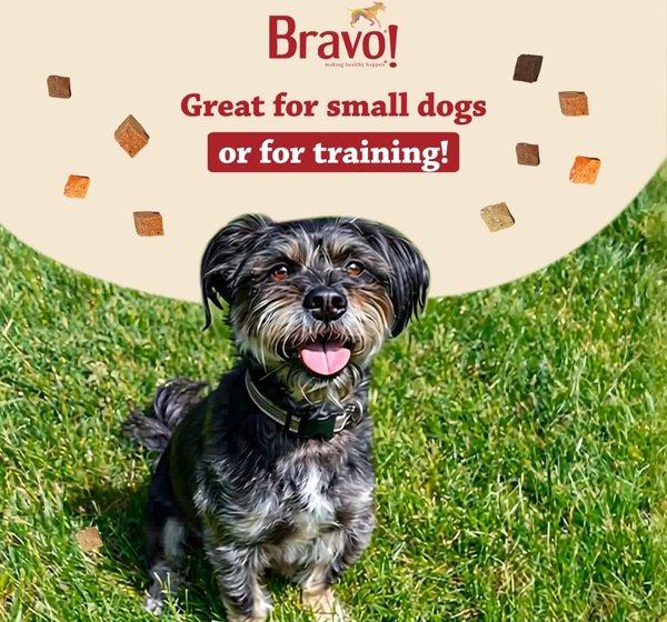 Bravo! Bonus Bites Chicken Breast Dry-Roasted Dog Treats