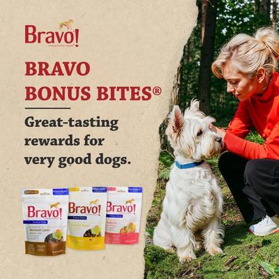 Show full view: Bravo! Bonus Bites Salmon Freeze-Dried Dog Treats, 2-oz bag slide 8 of 10
