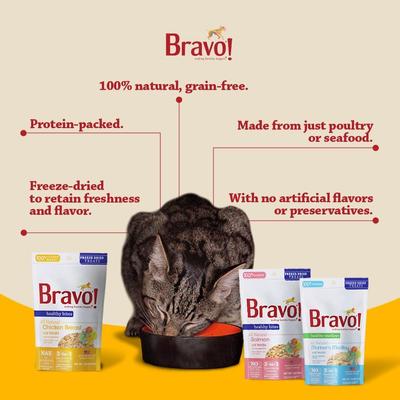 Show full view: Bravo! Healthy Bites Chicken Breast Freeze-Dried Cat Treats, 1.25-oz bag slide 7 of 11