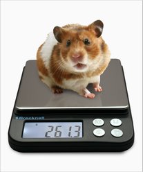 Brecknell EPB3000 Pocket Balance Digital Scale