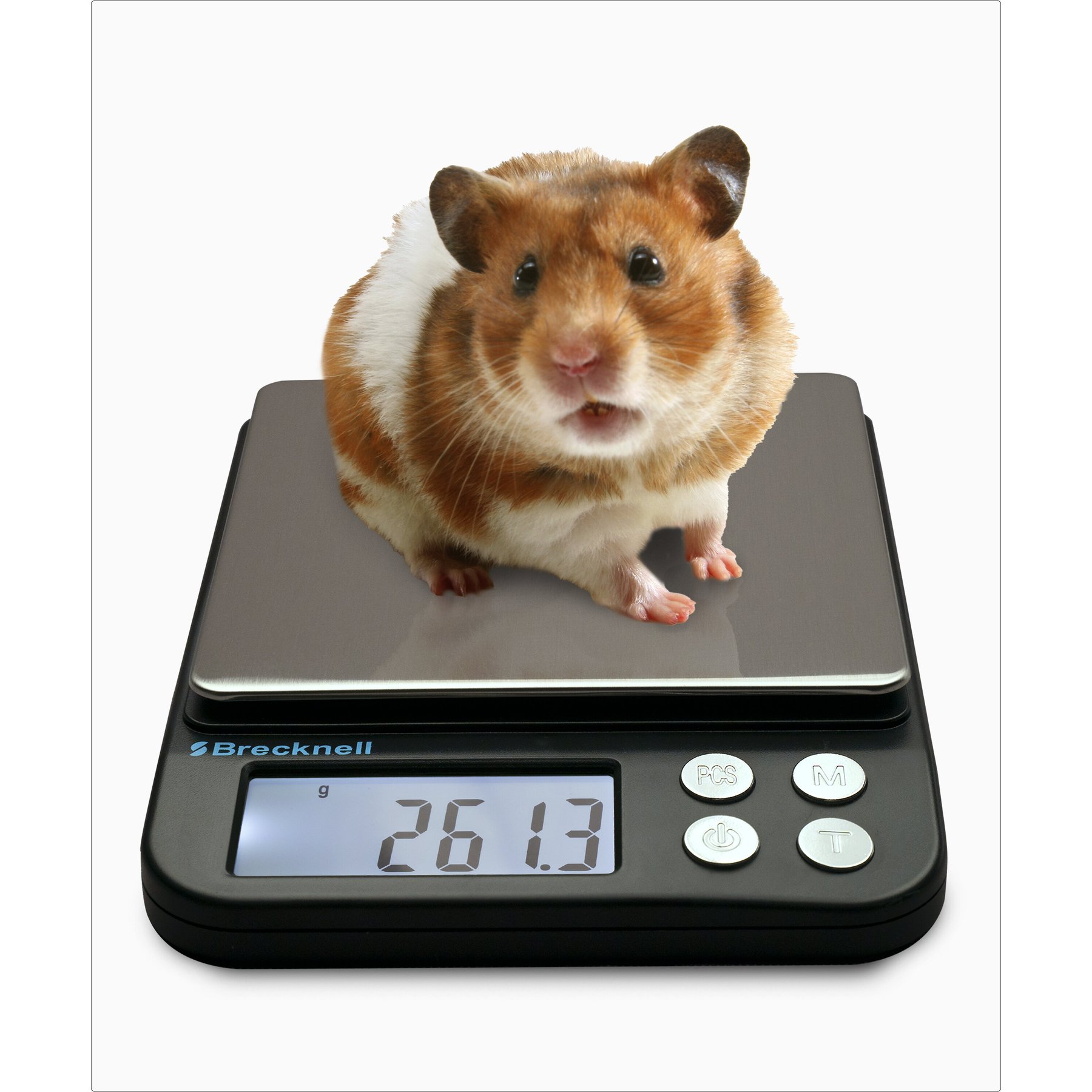 Brecknell EPB3000 Pocket Balance Digital Scale