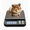 Show in main carousel: Brecknell EPB3000 Pocket Balance Digital Scale slide 1 of 4