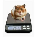 Brecknell EPB3000 Pocket Balance Digital Scale