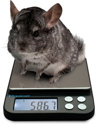 Brecknell EPB500 Pocket Balance Digital Scale