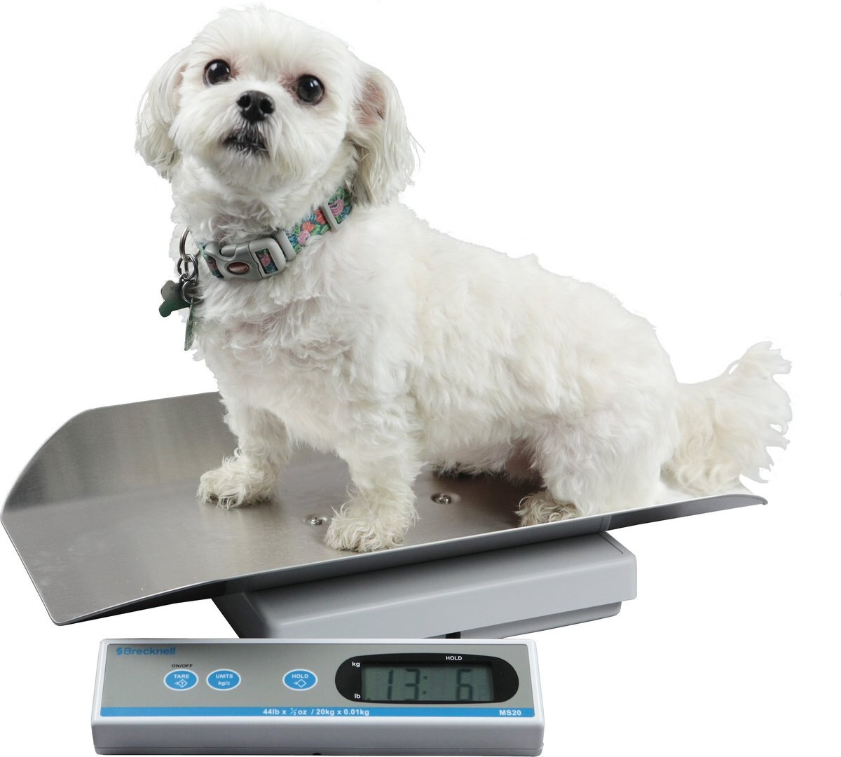 Brecknell MS-16 Digital Pet Scale