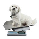 Brecknell MS20S Digital Pet Scale
