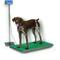 Show in main carousel: Brecknell PS500 Digital Pet Scale slide 1 of 2