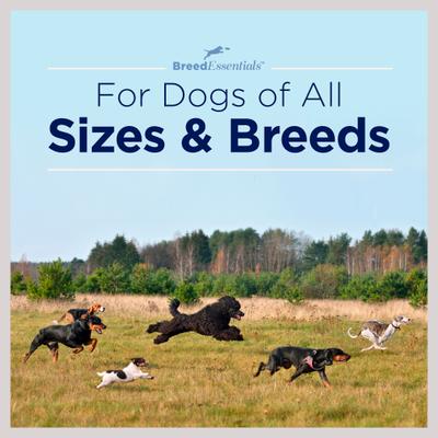 Show full view: Breed Essentials Bulldog Chicken Slims Grain-Free Dog Treats, 6-oz can slide 5 of 7