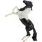 Show in main carousel: Breyer Horses Freedom Series Horse Black Pinto Rearing Mustang Collectible Toy Horse slide 1 of 1