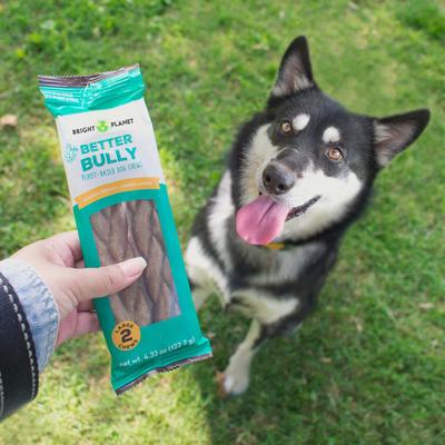 Show full view: Bright Planet Pet Better Bully Beef Flavor Plant-Based Dog Chews, Large, 2 count slide 6 of 7