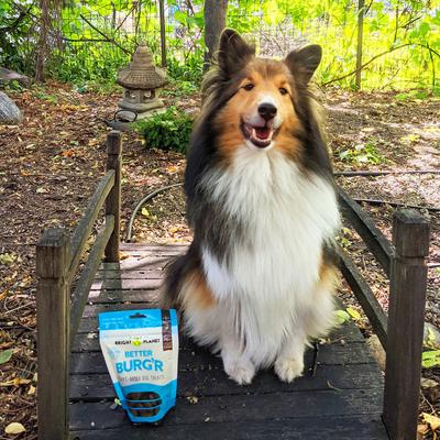 Show full view: Bright Planet Pet Better Burg'r Plant-Based Dog Treats, 6-oz bag slide 7 of 8