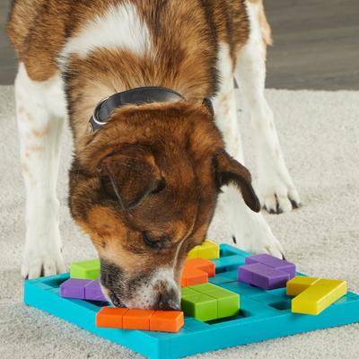 Show full view: Brightkins Brain Teaser Treat Puzzle Dog Toy slide 5 of 9