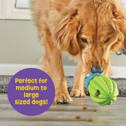 Brightkins Cactus Surprise! Treat Dispensing Dog Toy slide 2 of 6