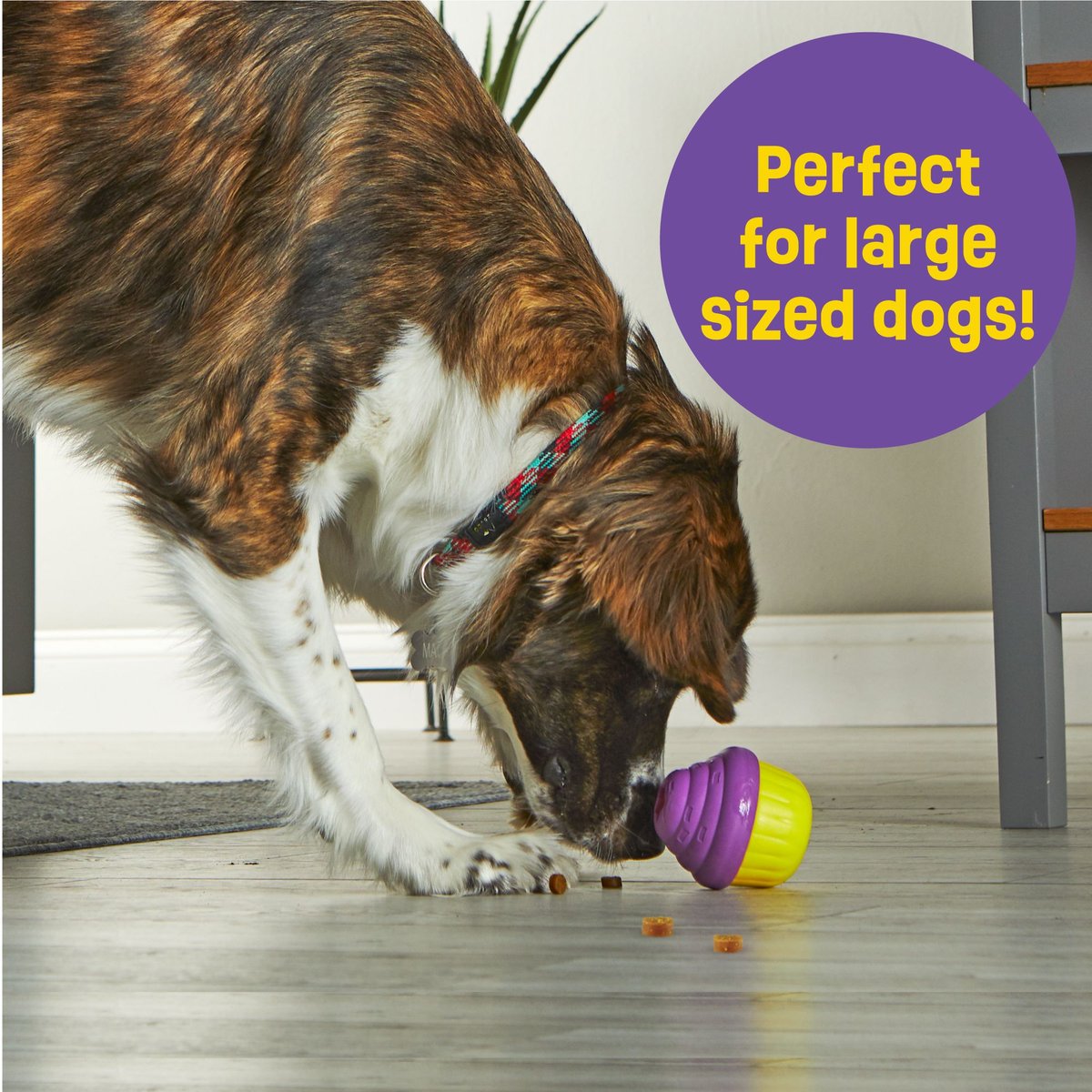 Brightkins Square 2-in-1 Slow Feeder & Lick Mat Treat Dispensing Dog Toy, Multi Color, 9.64 x 9.64 x 1.89-in