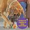 Show in main carousel: Brightkins Large Ice Cream Treat Dispenser Dog Toy slide 4 of 8