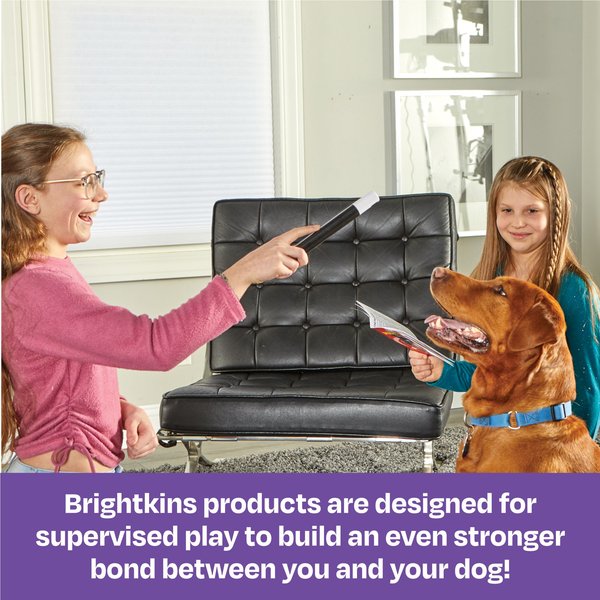Brightkins Magic Trick! Training Set Dog Toys