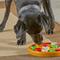 Show in main carousel: Brightkins Pizza Party! Treat Puzzle Dog toy slide 4 of 9