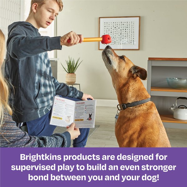 Brightkins Pooch School! Training Set Dog Toys