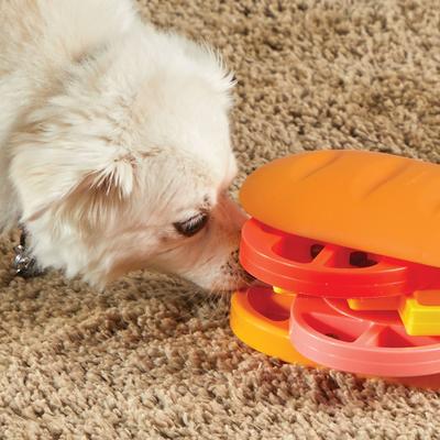 Show full view: Brightkins Pupstrami Surprise! Treat Puzzle Dog Toy slide 4 of 9