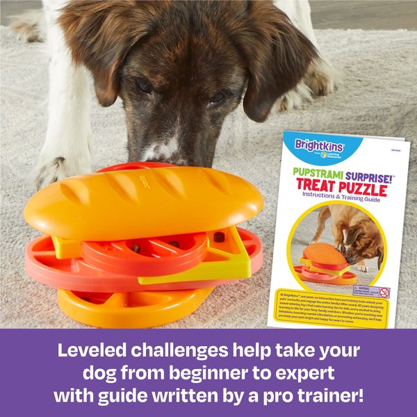 Show full view: Brightkins Pupstrami Surprise! Treat Puzzle Dog Toy slide 3 of 9