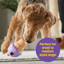 Brightkins Small Ice Cream Treat Dispenser Dog Toy slide 2 of 7