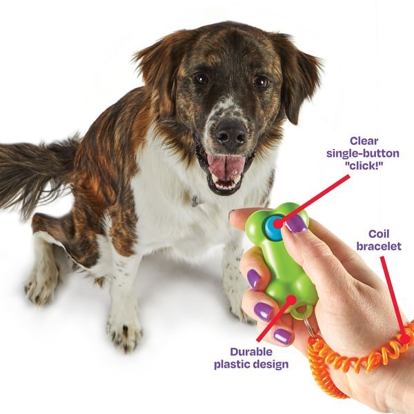 Brightkins Smarty Pooch Bone Dog Training Clicker