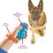 Show in main carousel: Brightkins Smarty Pooch Doggy Training Clicker slide 4 of 9