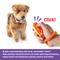 Show in main carousel: Brightkins Smarty Pooch Hot Dog Dog Training Clicker slide 2 of 7
