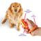 Show in main carousel: Brightkins Smarty Pooch Hot Dog Dog Training Clicker slide 4 of 7