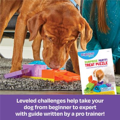 Show full view: Brightkins Surprise Party! Puzzle Treat Dog Toy slide 3 of 9