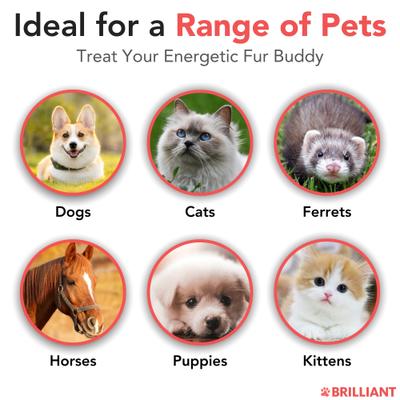 Show full view: Brilliant Salmon Oil Skin & Coat Supplement for Dogs, 1200-ml bottle slide 6 of 11