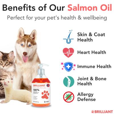 Show full view: Brilliant Salmon Oil Skin & Coat Supplement for Dogs, 500-ml bottle slide 3 of 11