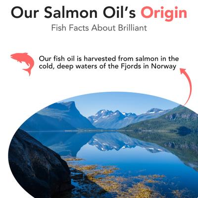 Show full view: Brilliant Salmon Oil Skin & Coat Supplement for Dogs, 500-ml bottle slide 7 of 11