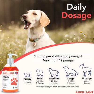 Show full view: Brilliant Salmon Oil Skin & Coat Supplement for Dogs, 500-ml bottle slide 8 of 11