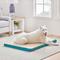 Show in main carousel: Brindle 2-in Orthopedic with Machine Washable Cover Dog & Cat Bed, Teal, Large slide 1 of 8