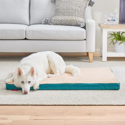 Show full view: Brindle 2-in Orthopedic with Machine Washable Cover Dog & Cat Bed, Teal, Large slide 4 of 8