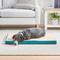 Show in main carousel: Brindle 2-in Orthopedic with Machine Washable Cover Dog & Cat Bed, Teal, Medium slide 3 of 7