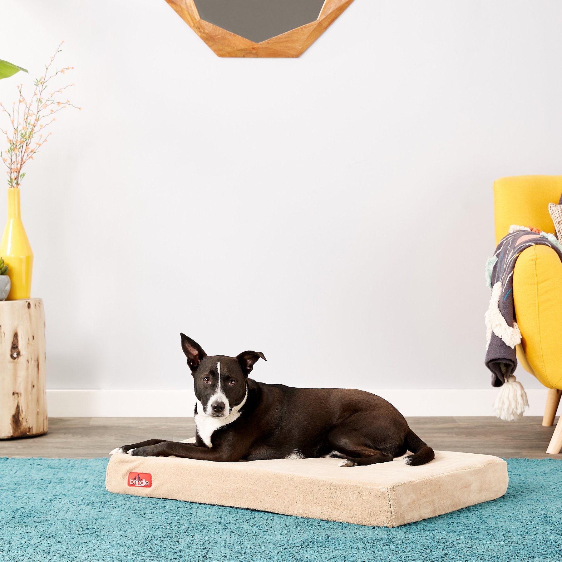 Brindle Plush Orthopedic Pillow Cat & Dog Bed with Removable Cover, Khaki, Medium