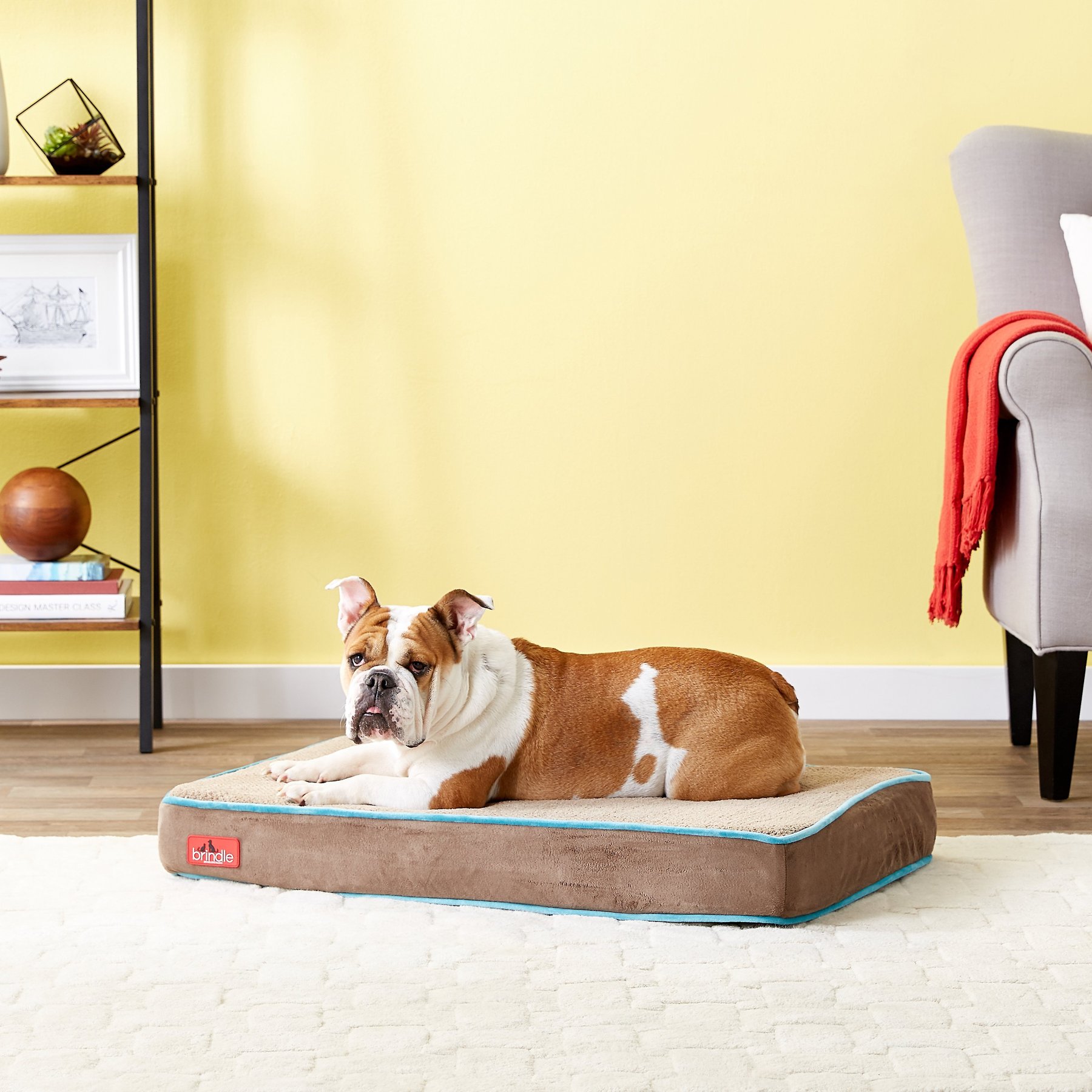 Brindle Plush Orthopedic Pillow Cat & Dog Bed with Removable Cover, Mocha Blue, Medium